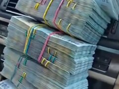 Colega. Bani multi rapid